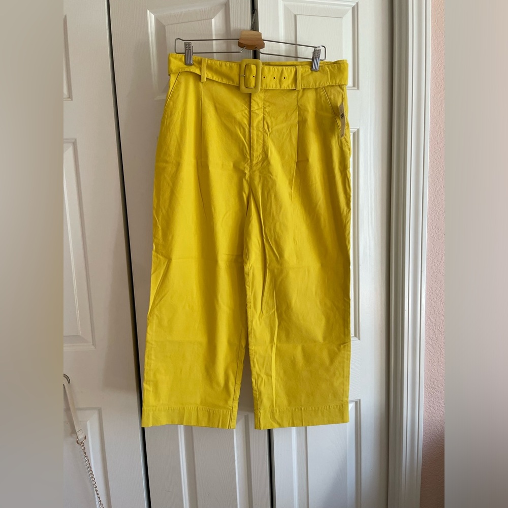Anthropologie Wide Leg Belted Pants size 10